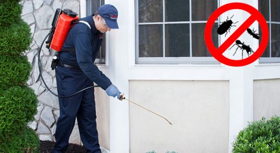 Havza Pire İlaçlama böcek ilaçlama ve haşere kontrolü — ilaclama-tr.com